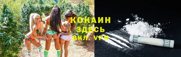 каннабис Арсеньев