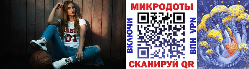 площадка какой сайт  Покачи  Галлюциногенные грибы Psilocybe 